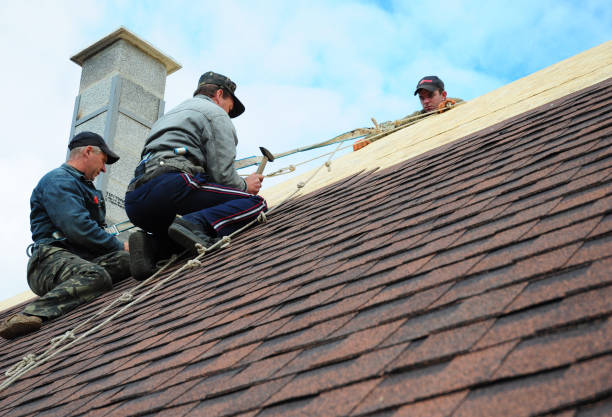 Best Metal Roofing Contractor  in Parker, CO